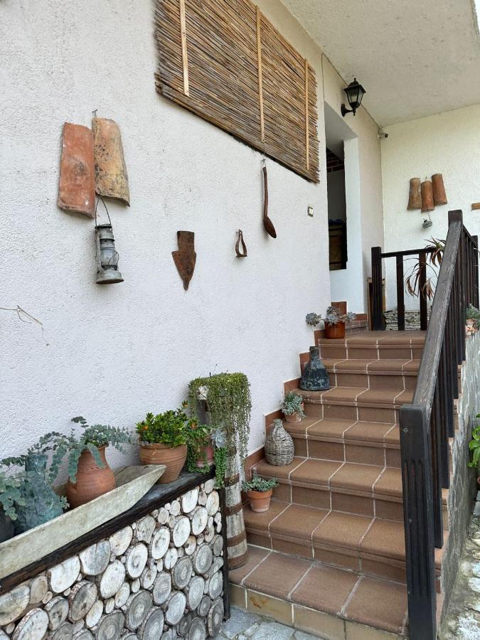 Bed & Breakfast Local Living Edi Berat Exterior photo